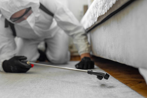 Professional Ant Control technician working in Chain Lake, WA