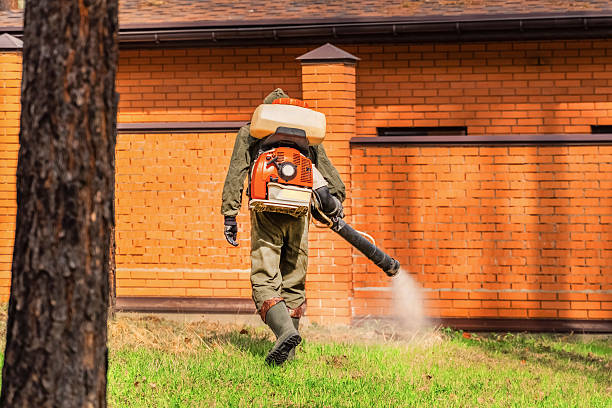 Trusted Bed Bug Control service in Chain Lake, WA - Nex Pest Control